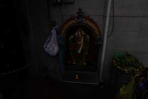 LITTLE INDIA (165)